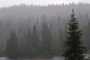 lietuviai Norvegijoje