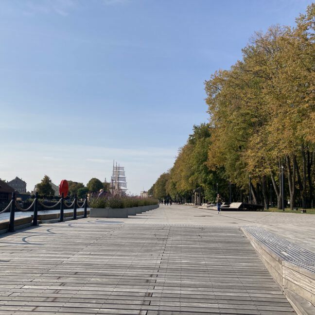 Vilniuje atidaryta nauja „Woodline“ ekspozicijos-pardavimų salė