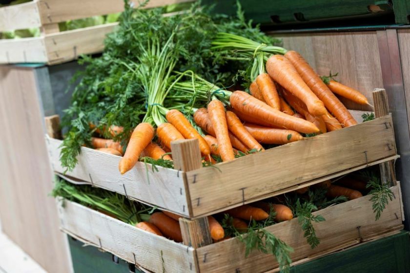 Kokybė ir šviežumas – kiekviename etape: kaip „Lidl“ rūpinasi rudens derliumi?