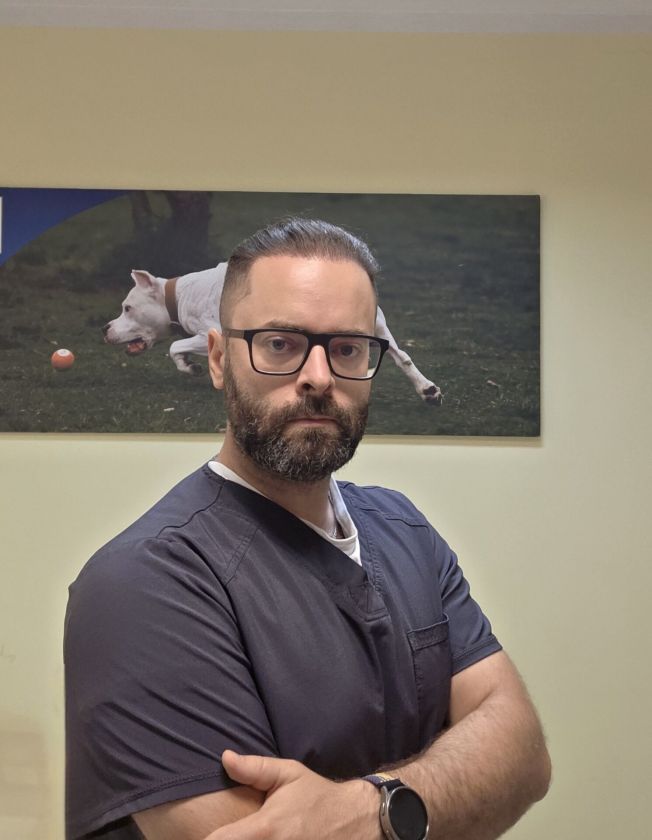 Visa tiesa apie skanėstus: veterinarijos gydytojo patarimai šeimininkams, kaip neperšerti kačių